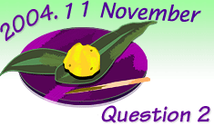 The question 2 this month