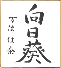色紙