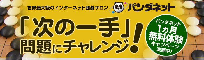 ���E�ő勉�̃C���^�[�l�b�g�͌�T�����u�p���_�l�b�g�v�@�����̌��L�����y�[���u���̈��v���Ƀ`�������W