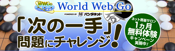 �C���^�[�l�b�g�͌�΋ǁu�v�v�f��
�v�@�����̌��L�����y�[���u���̈��v���Ƀ`�������W