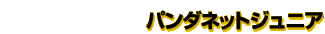 �p���_�l�b�g�W���j�A