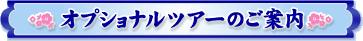 �I�v�V���i���c�A�[�̂��ē�