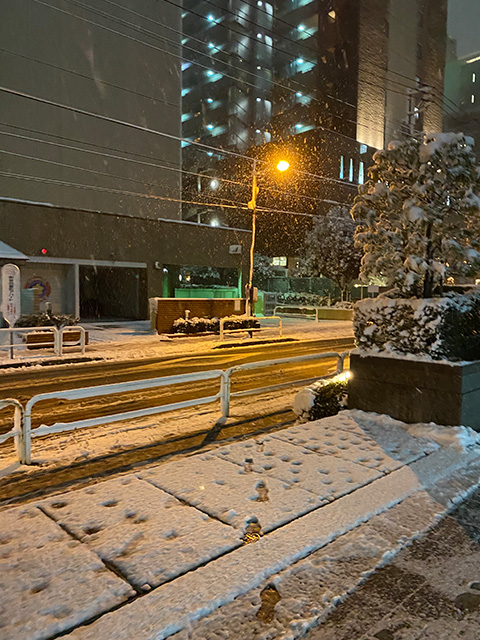 今年の初手合いの日に、雪がたくさん降って積もりました。帰り道の市ヶ谷で撮った写真です。