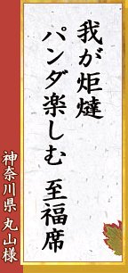 神奈川県 丸山様「我が炬燵 パンダ楽しむ 至福席」