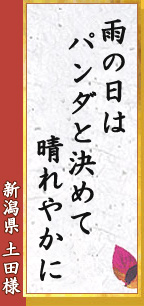 雨の日は パンダと決めて 晴れやかに