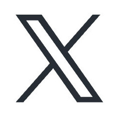 公式X