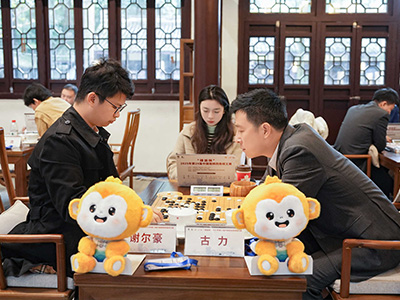 図4：健在ぶりを見せた古力九段。