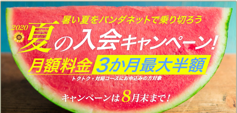 パンダネット2020年夏の入会キャンペーン！月額料金3か月最大半額！