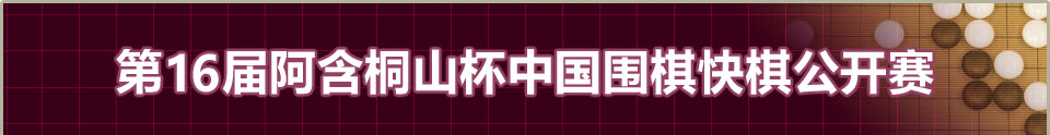第16届阿含桐山杯中国围棋快棋公开赛
